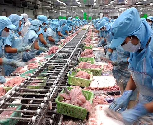 Chế biến thủy sản cần lắm một hệ thống xử lý nước thải thủy sản Chế biến thủy sản cần lắm một hệ thống xử lý nước thải thủy sản