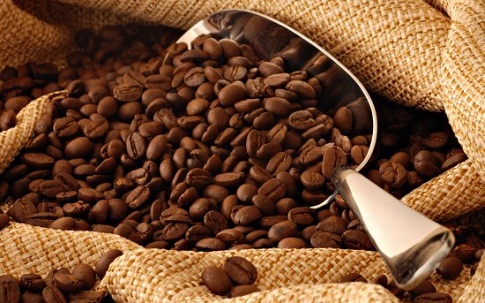 cơ sở chế biến cafe cơ sở chế biến cafe