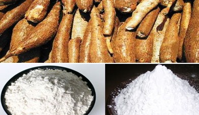 Tinh bột khoai mì Tinh bột khoai mì
