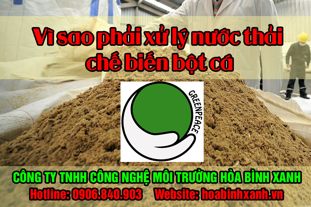 Vì sao phải xử lý nước thải chế biến bột cá? Vì sao phải xử lý nước thải chế biến bột cá