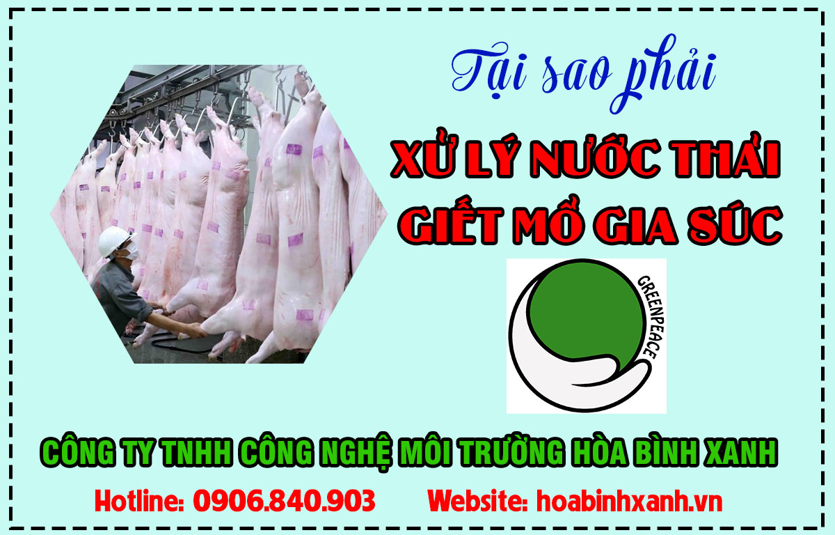 Tại sao phải xử lý nước thải giết mổ gia súc? Tại sao phải xử lý nước thải giết mổ gia súc?