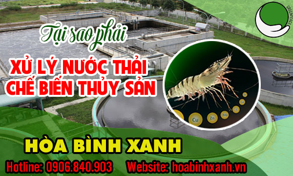 Tại sao phải xử lý nước thải chế biến thủy sản? Tại sao phải xử lý nước thải chế biến thủy sản?