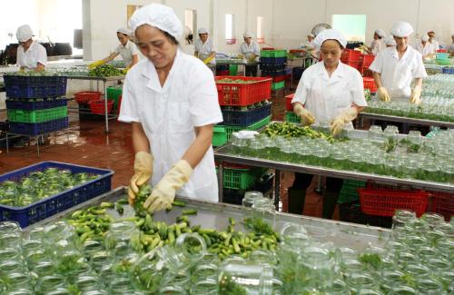 cơ sở chế biến nông sản cơ sở chế biến nông sản