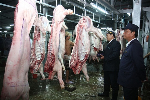 cơ sở giết mổ gia súc gia cầm cơ sở giết mổ gia súc gia cầm