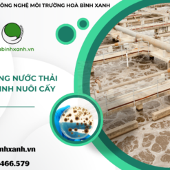 Hệ thống nước thải có vi sinh nuôi cấy