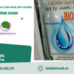 Vi sinh dạng rắn