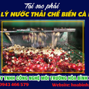 Tại sao phải xử lý nước thải chế biến cà phê?