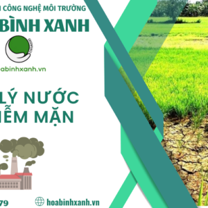XỬ LÝ NƯỚC NHIỄM MẶN