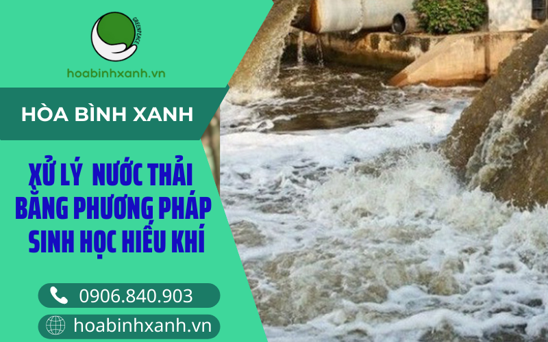 Xử lý nước thải bằng phương pháp sinh học hiếu khí Xử lý nước thải bằng phương pháp sinh học hiếu khí