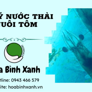 Xử lý nước thải nuôi tôm