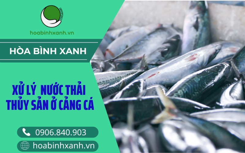 Xử lý nước thải thủy sản ở cảng cá Xử lý nước thải thủy sản ở cảng cá