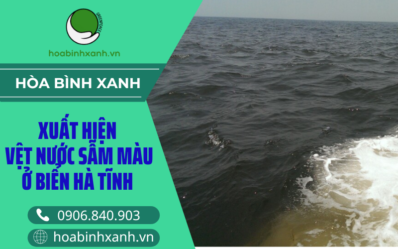 Xuất hiện vệt nước sẫm màu ở biển Hà Tĩnh Xuất hiện vệt nước sẫm màu ở biển Hà Tĩnh