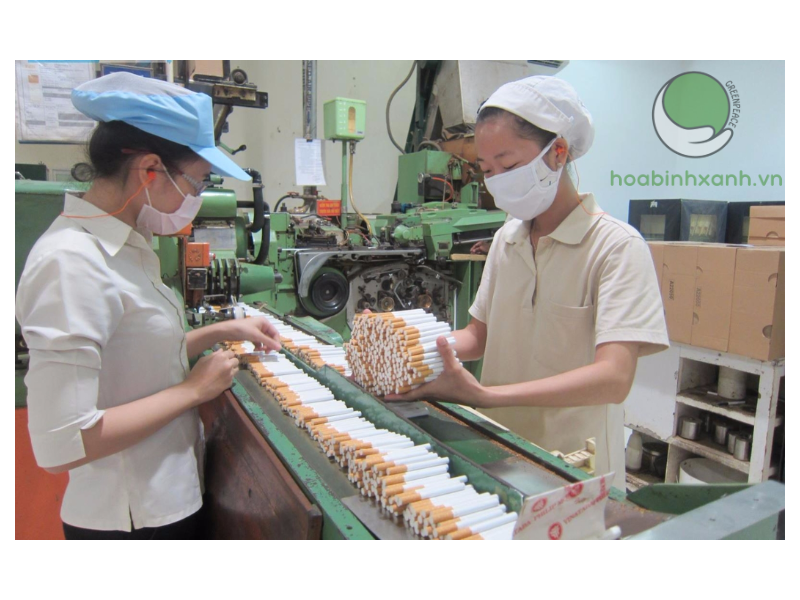 bụi phát sinh trong sản xuất thuốc lá ảnh hưởng xấu đến sức khỏe con người Xử lý bụi thuốc lá