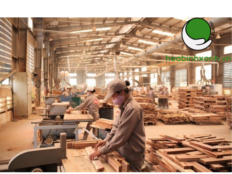 bụi gỗ có ảnh hưởng nghiêm trọng đến sức khỏe của con người Xử lý bụi gỗ