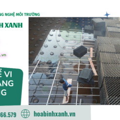 Lắp đặt giá thể vi sinh dạng tổ ong