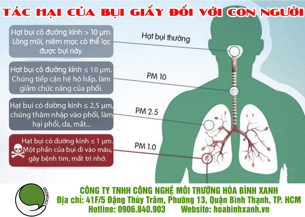 Tác hại của bụi giấy đối với con người