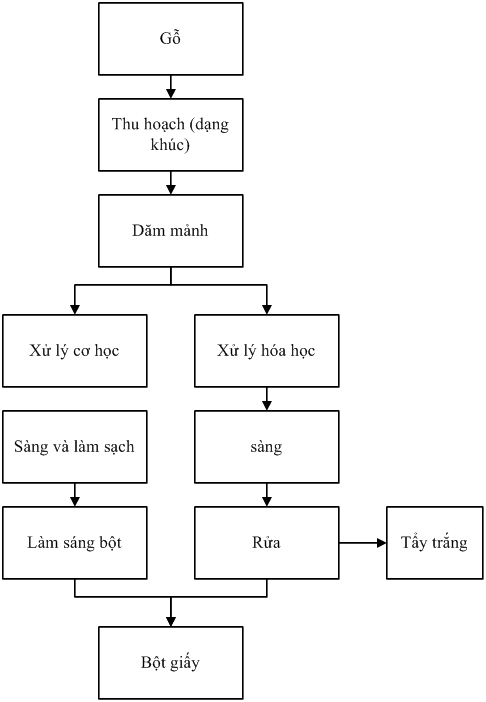 Quy trình sản xuất bột giấy Quy trình sản xuất bột giấy