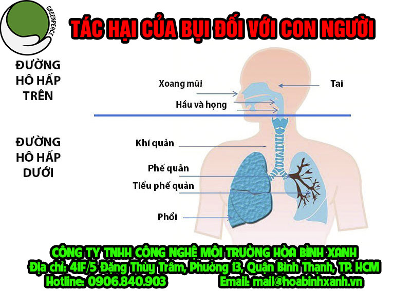 Tác hại của bụi đối với con người