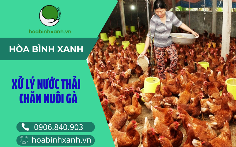 Xử lý nước thải chăn nuôi gà