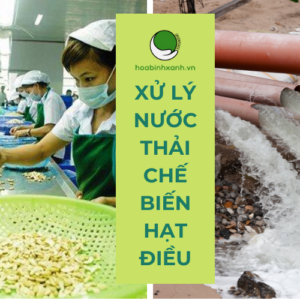 Xử lý nước thải chế biến hạt điều (1)