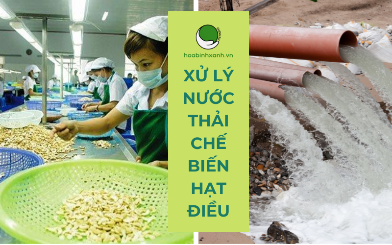 Xử lý nước thải chế biến hạt điều (1)