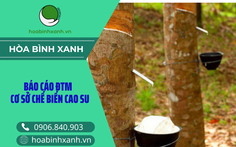 Báo cáo đánh giá tác động môi trường cs chế biến cao su - mủ cao su