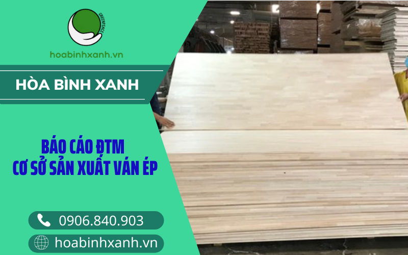 Báo cáo ĐTM xây dựng cssx ván ép