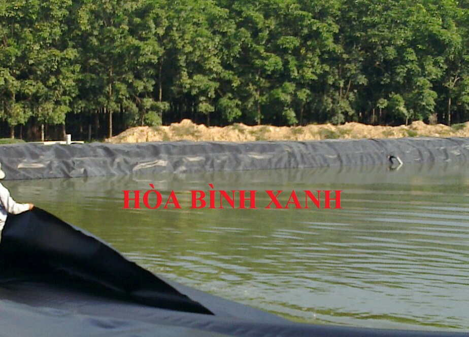 Màng chống thấm HDPE tại Long An giá tốt nhất 2021