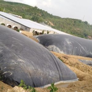Màng chống thấm HDPE giá cạnh tranh nhất - ứng dụng hầm biogas