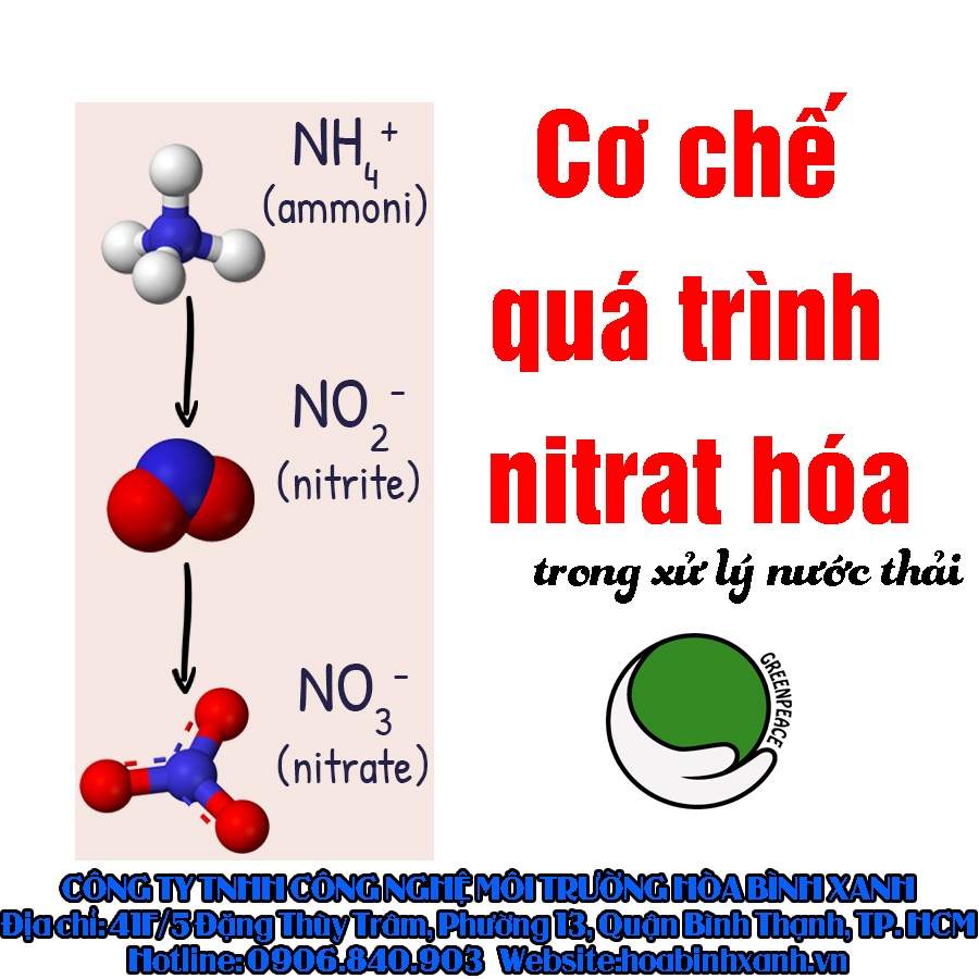 Cơ chế quá trình nitrat hóa xử lý tổng nito