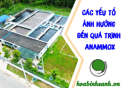 Các yêu tố ảnh hưởng đến quá tình anammox xử lý amoni
