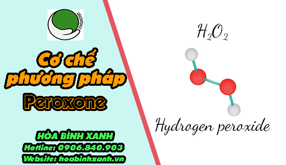 Cơ chế phương pháp peroxone
