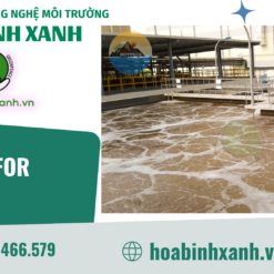 Bể Biofor - Hòa Bình Xanh