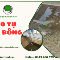 Bể keo tụ tạo bông - Hòa Bình Xanh