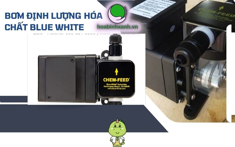 Bơm định lượng hóa chất BlueWhite Bơm định lượng hóa chất BlueWhite