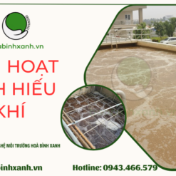 Bùn hoạt tính hiếu khí- Hòa Bình Xanh