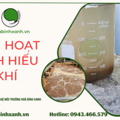 Bùn hoạt tính hiếu khí- Hòa Bình Xanh