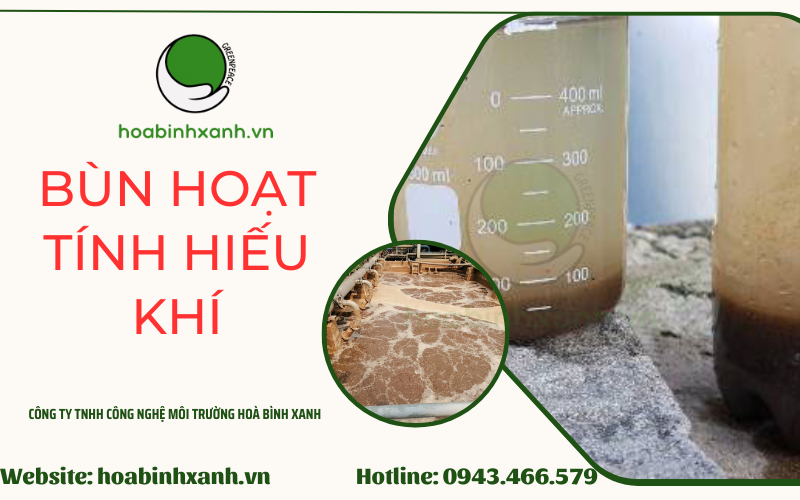 Bùn hoạt tính hiếu khí- Hòa Bình Xanh
