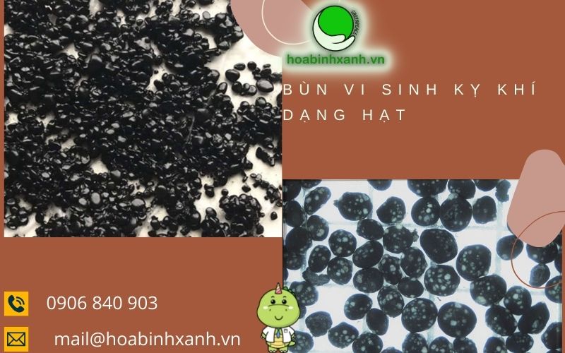 Bùn vi sinh kỵ khí dạng hạt- Hòa Bình Xanh Bùn vi sinh kỵ khí dạng hạt- Hòa Bình Xanh