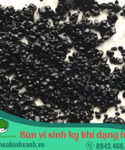 Bùn vi sinh kỵ khí dạng hạt