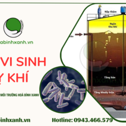 Bùn vi sinh kỵ khí- Hòa Bình Xanh