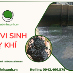 Bùn vi sinh kỵ khí- Vi sinh kỵ khí