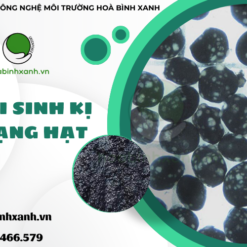 Các vi khuẩn kỵ khí