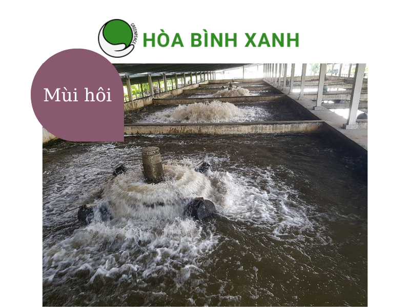 Bể xử lý nước thải Bể xử lý nước thải