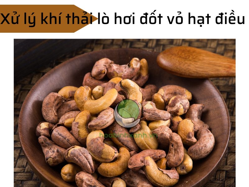Xử lý khí thải cho lò hơi đốt vỏ hạt điều Xử lý khí thải cho lò hơi đốt vỏ hạt điều