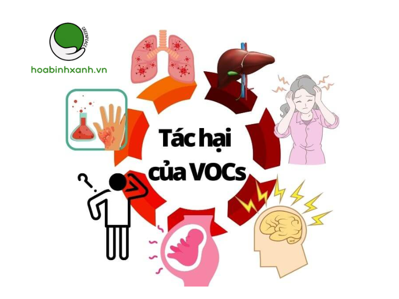 Ảnh hưởng của các chất dễ bay hơi VOC Ảnh hưởng của các chất dễ bay hơi VOC