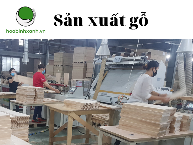 Sản xuất gỗ Sản xuất gỗ
