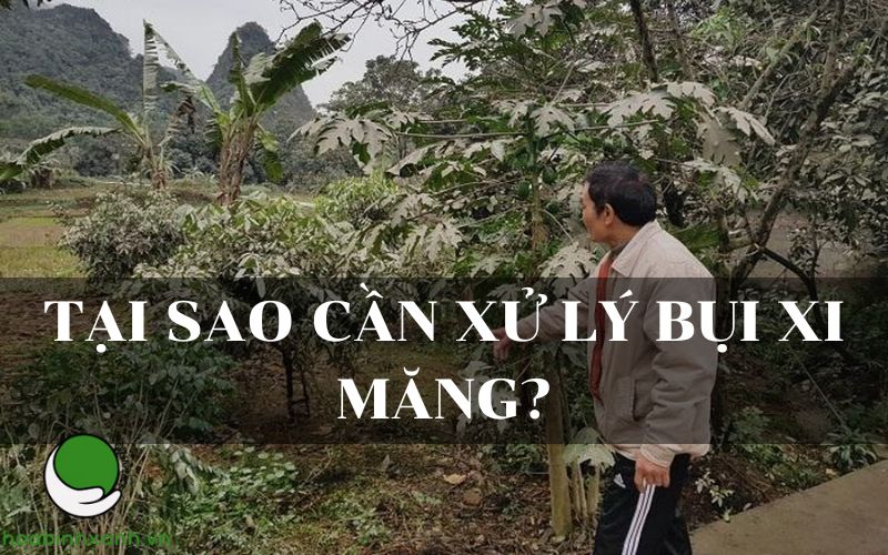 Tại sao cần xử lý bụi xi măng? Tại sao cần xử lý bụi xi măng?