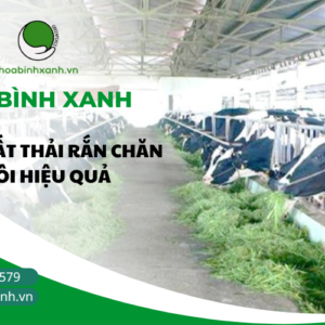 XỬ LÝ CHẤT THẢI RẮN CHĂN NUÔI HIỆU QUẢ