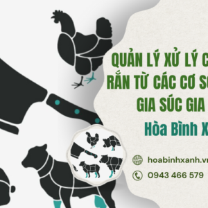 QUẢN LÝ VÀ XỬ LÝ CHẤT THẢI RẮN TỪ CÁC CƠ SỞ GIẾT MỔ GIA SÚC GIA CẦM